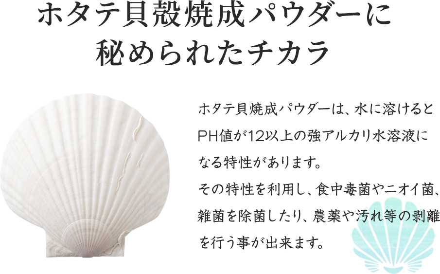 ホタテ貝殻焼成パウダーに秘められたチカラ