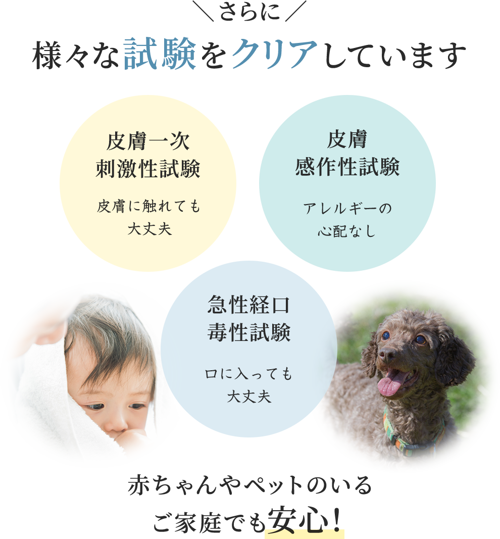 様々な試験をクリアしています